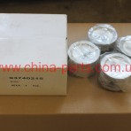 поршень 0.25 комплект GRTW